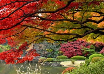podzim v Japonsku